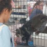 Une Fête de l’animal à Paris : Une Initiative Controversée et Critiquée par les Autorités